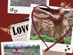 -安德鲁户外烧烤帐篷营地(马泉营店)