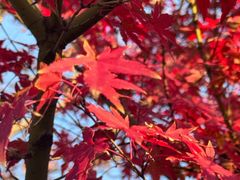 -上海浦江郊野公园-2号停车场