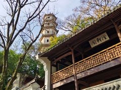 -江心屿景区