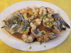 黄豆酱蒸金钱片西江钳鱼-粤·向群饭店(泮塘路店)