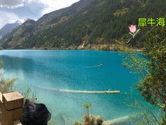 -乡土特色.冷锅鱼.牦牛肉汤锅