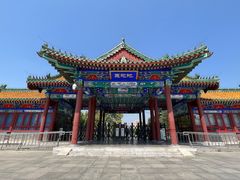 -莲花池公园