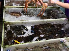 -大湾区中央湿地公园-十九涌