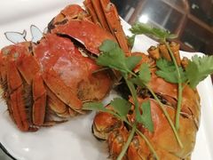 -呼吸森林·生态农庄农家乐私房菜