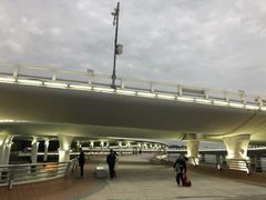 -演武大桥观景平台