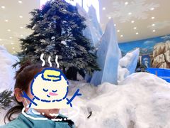 -长沙湘江冰雪世界