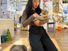 -COLOR PETS 撸猫馆·购猫·猫咖(长风大悦城店)