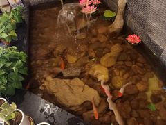 -百花食府(渔阳南路店)