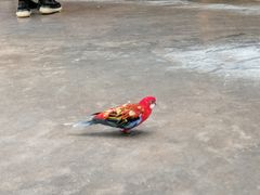 -昆明动物园