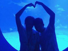 -烟台海昌鲸鲨海洋公园