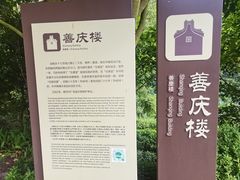 -雁南飞茶田景区