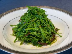 菌香赤苍藤-三利音·东方司宴(外滩店)