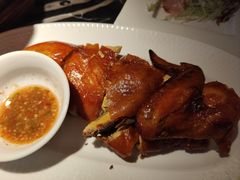 -新白鹿餐厅(虹桥南丰城店)
