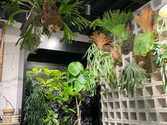 -自由生长植物工作室(深港花卉中心店)
