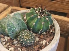 -懒鱼时光馆(沙坪坝店)