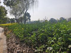 -泰康之家·申园