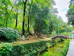 -善卷洞风景区