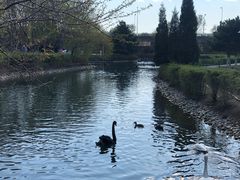 -长白岛森林公园