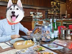 -OGGI TRATTORIA PIZZERIA(深业上城店)