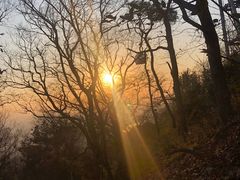 -紫金山天文台