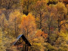 -叠溪松坪沟景区