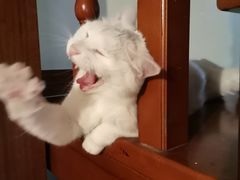 -杭州城北体育公园