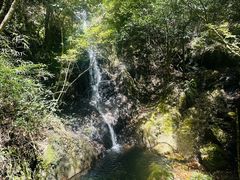 -旗山国家森林公园