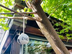 -VOYAGE COFFEE(杨梅竹店)