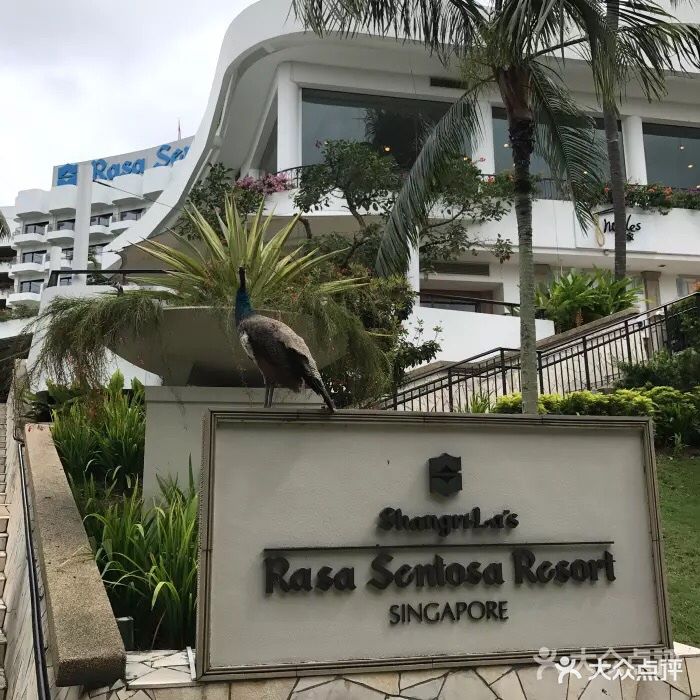 新加坡香格里拉圣淘沙度假酒店图片 第667张