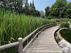 -成都市活水公园