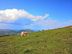-灵山