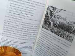 -樹下遇见树·咖啡