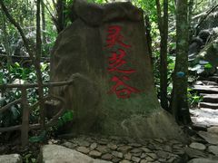 -呀诺达热带雨林