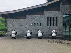 -都江堰中华大熊猫苑