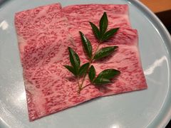 -然锅料理