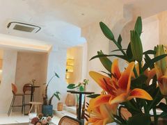 -HUATA 'Holiday Plan 花榻