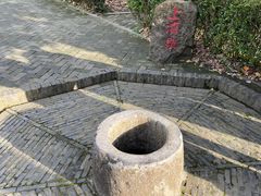 -上海佘山国家森林公园天马山园