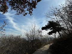 -北京西山国家森林公园