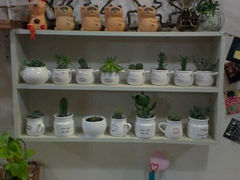android_upload_pic-艺冉时光(田子坊店)