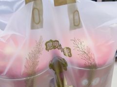 -珍妮曲奇聪明小熊(尖沙咀店)