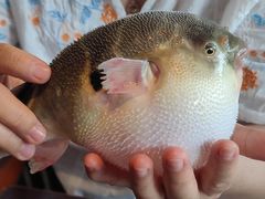 -永安鱼庄·镇江菜(东吴路店)