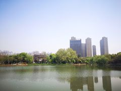 -堤角公园