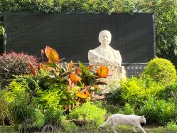 点击看大图 -复旦大学附属妇产科医院(黄浦院区)