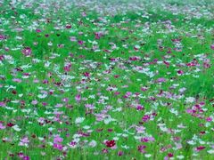 -北沙滩(地铁站)