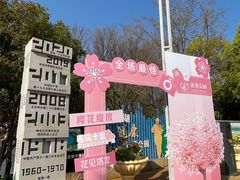 -洛龙公园