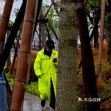 轮渡轮渡