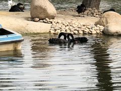 -石家庄市动物园