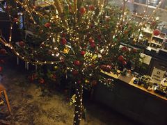 -Cafe Alice咖啡爱丽丝(奥城店)