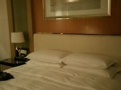-常州武进九洲喜来登酒店