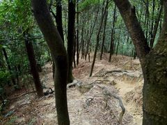 -火炉山森林公园